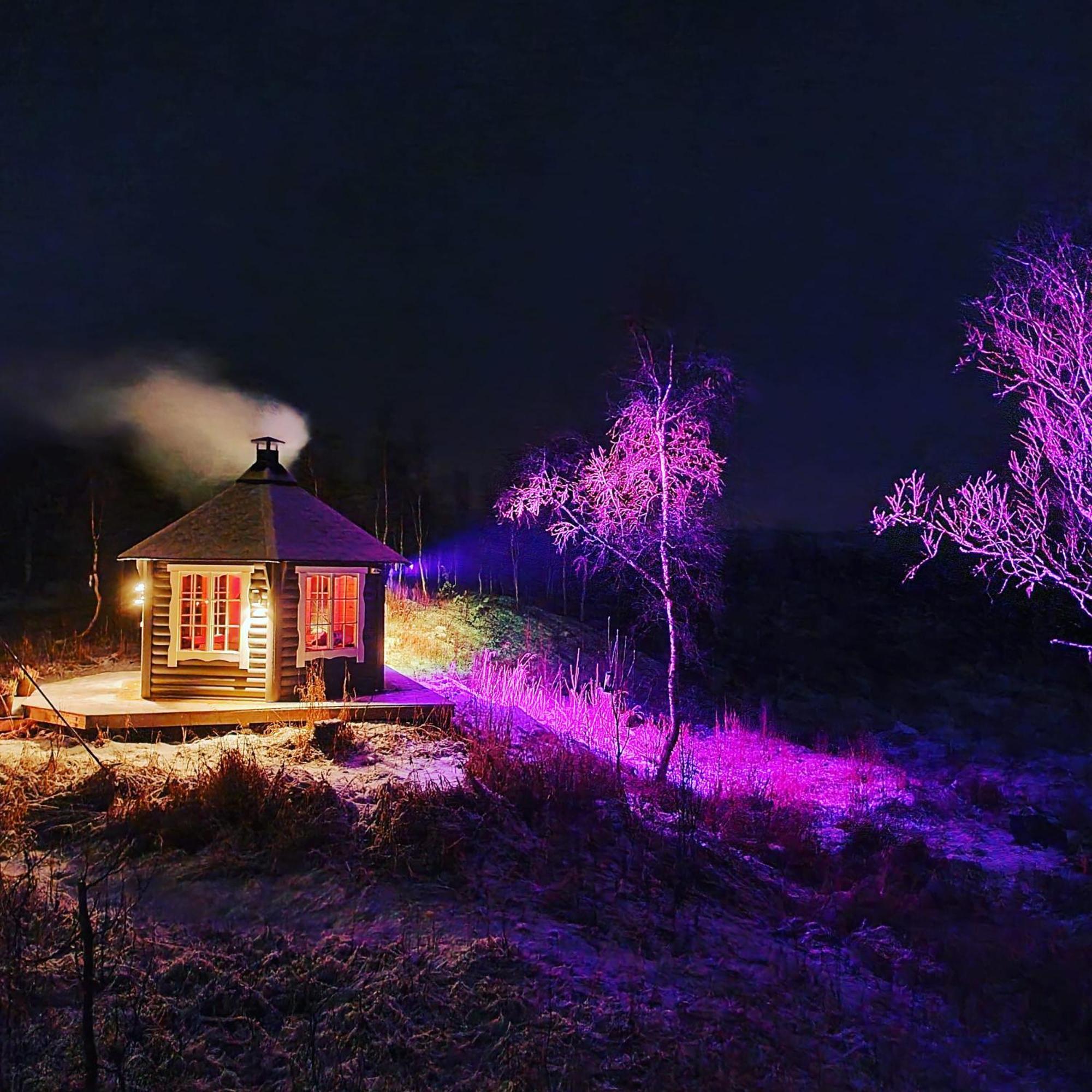 Villa Elvestua à Gibostad Chambre photo